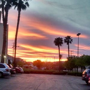 Meet your Posher, Alma